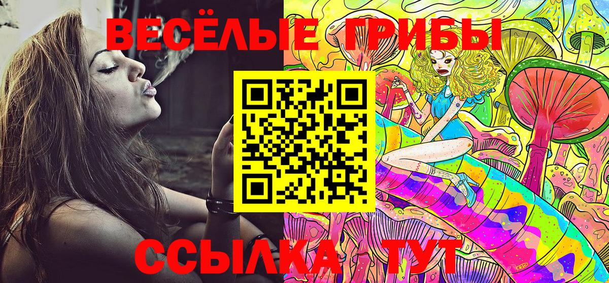 Галлюциногенные грибы Psilocybine cubensis Татарск